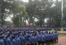 Pelantikan 325 PPPK Tahap II Rejang Lebong Molor, BKPSDM Pastikan Digelar Awal Desember