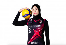 Mega Balik ke Proliga 2025