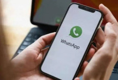 Tema Chat WhatsApp Bisa Diatur Berbeda Tiap Kontak, Bisa Lebih Personal!