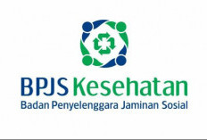 Nah.. Ada Loker dari BPJS Buruan, untuk S1 dan S2 Berbagai Jurusan