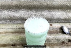 Tanpa Perlu Bahan Kimia, Basmi Rumput Liar dengan Bahan Alami Ini