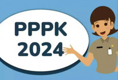 Final, Tenaga Honorer dengan Masa Kerja Ini Wajib Diangkat jadi PPPK 2024