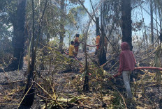 Kemarau Masih Berlangsung, Waspada Karhutla