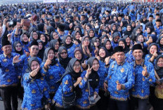 Batas Usia Pensiun ASN Diubah! Cek Jabatan & Usia Terbarunya di Sini