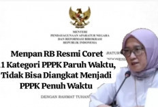 11 Golongan Ini Tidak Bisa Diangkat Menjadi PPPK Penuh Waktu, Menpan-RB Keluarkan Regulasi Baru