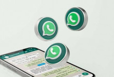 Fitur Baru WhatsApp Gelembung, Chat Bukan Hanya Hijau