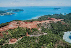 Istana Cabut Izin Tambang di Raja Ampat