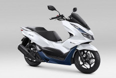 AHM Merilis Honda PCX160 dengan Warna Baru