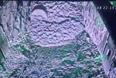 Tambang Freeport Longsor, 7 Pekerja Terjebak