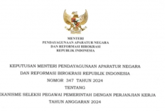 Untuk Ikut PPPK 2024, Kepmen Pan RB No 347 : Honorer Minimal 8 Tahun Masa Kerja, Begini Penjelasannya!