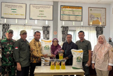 Bulog Rejang Lebong Distribusikan Bantuan Pangan Oktober–November untuk 42 Ribu Warga di Tiga Kabupaten