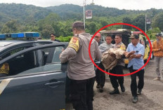 Pelajar Asal Lebong Ditemukan Lemas dan Linglung di Kawasan Bukit Kaba