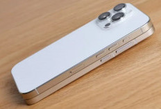 HP Keluaran Apple Saling Bunuh? Akibatkan Seri Ini jadi Tak Laris