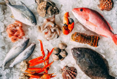 Waspada ! Kebiasaan Salah Mengolah dan Menyimpan Makanan Bisa Berujung Keracunan