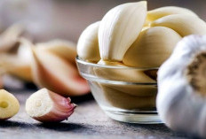 Wajib Coba ! Ini Manfaat Air Rebusan Bawang Putih untuk Kesehatan dari Kepala hingga Kaki