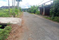 Pengendara Keluhkan Akses Jalan Menunju 3 Desa Berlobang di Watas Marga