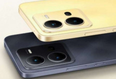 Bukan Samsung, Oppo, atau Xiaomi, Ini Dia Raja Smartphone Global 2025