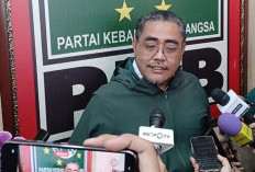 KIM Plus Muncul Jelang Pilkada, Ini Kata PKB