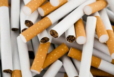 Pengamat: Peredaran Rokok Ilegal Semakin Marak