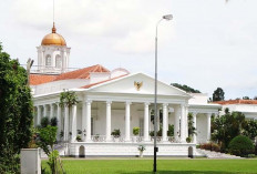 Soal Wacana Kembalikan Pilpres Lewat MPR, Ini Kata Istana
