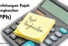 Pemerintah Resmi Tetapkan Pajak PPh Royalti 1,5 persen untuk Penulis