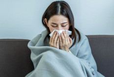  Bukan Flu Biasa, Ini Bahaya Super Flu H3N2 Subclade K