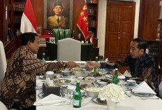 Soal Jokowi Temui Prabowo, Ini Kata Tim RIDO