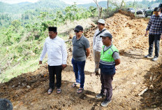 Wagub Mian Tinjau Proyek Penanganan Longsor Nakau-Kepahiang