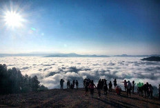 Menggapai Awan di Lolai, Pengalaman Tak Terlupakan dari Puncak Toraja