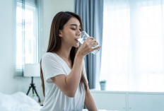 Yuk Rutin Minum Air Hangat di Pagi Hari, Banyak Khasiatnya Terutama Bagi yang Ingin Turunkan Berat Badan