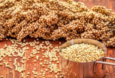 Bukan Sekadar Pengganti Nasi, Ini 8 Alasan Sorgum Baik untuk Tubuh Anda !