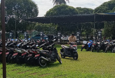 Bidang Aset BPKD Masih Tunggu Ratusan Tornas, Hingga Akhir Bulan Ini