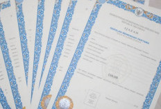 Ini Cara Cek Ijazah Online SD Hingga S1 di Website Dikti