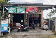 Kopi Bubuk Ojolali, Mutu Terjamin dan Aroma Mantap