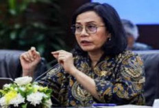 Anggaran Mobnas Eselon I Capai Rp 1 Miliar, Ini Kata Ekonom