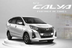 Mobil Bekas Toyota Calya Untuk Kebersamaan Keluarga, Segini Harganya!