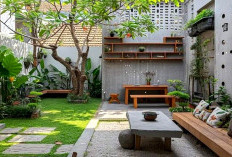 Ingin Buat Taman Kecil Super Aesthetic Dirumah ? Yuk Ikuti Tips Sederhana Ini