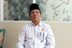 Kemenag Siapkan 9 Ekor Sapi Kurban