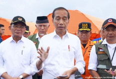 Bobby Masuk Gerindra, Ini Respon Jokowi