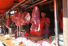 Pastikan Aman Dikonsumsi, Distankan Intensifkan Sidak Daging Jelang Lebaran