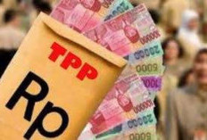 Tahun Depan Skema Pembayaran TPP untuk ASN Berubah