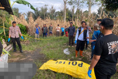 Istri Bunuh Suami di Rejang Lebong Belum Tersangka