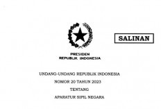 UU ASN Terbaru: Aturan Pensiun PNS Berubah, Ini Rinciannya!