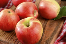 Kaya Serat dan Antioksidan, Ini Dia Manfaat Apel Fuji untuk Kesehatan Tubuh