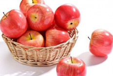 Tips Memilih Menu Sarapan Sehat bagi Penderita Ginjal agar Fungsi Ginjal Terjaga !