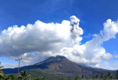 Waspada ! Gunung Lewotobi Laki-Laki Kembali Erupsi 