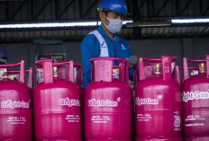 Harga Gas 12 Kg dan 5,5 Kg Resmi Naik, 