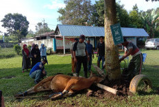 PKM Curup Timur Perdana Berkurban