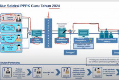 Tanpa Tes, Honorer Kategori Ini Bersiap Terima SK PPPK 2024, Berikut Info Lengkapnya