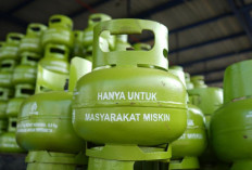   Soal Rencana LPG 3 Kg Diganti CNG, Ini Kata YLKI